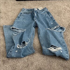 Zara Distressed Blue Jeans
